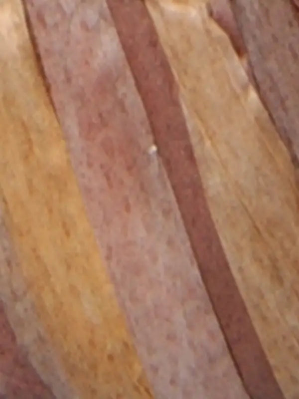 Fibra Natura Raffia Multi