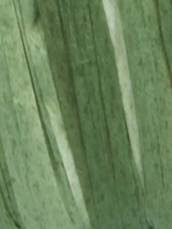 Fibra Natura Raffia Multi
