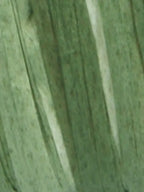 Fibra Natura Raffia Multi
