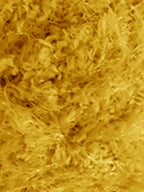 Rozetti Yarns Lolipop